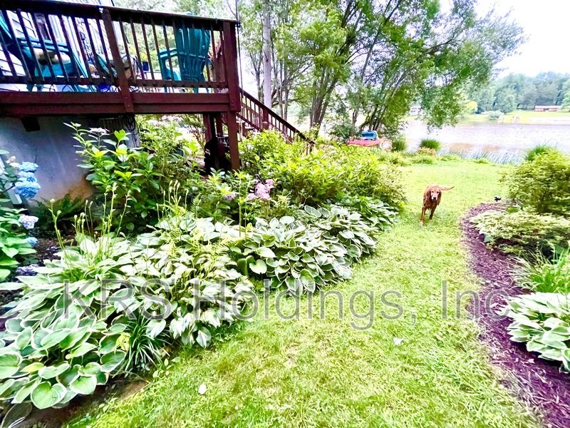 Waterfront property image