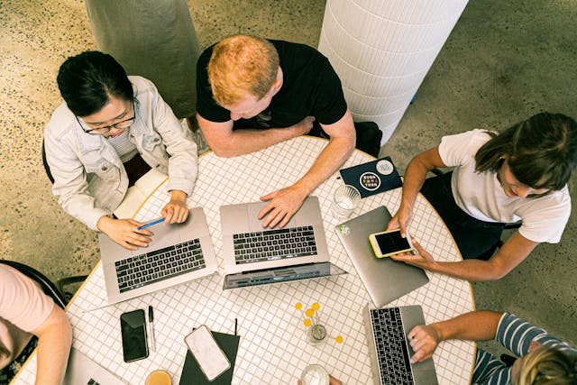 group of people using laptops