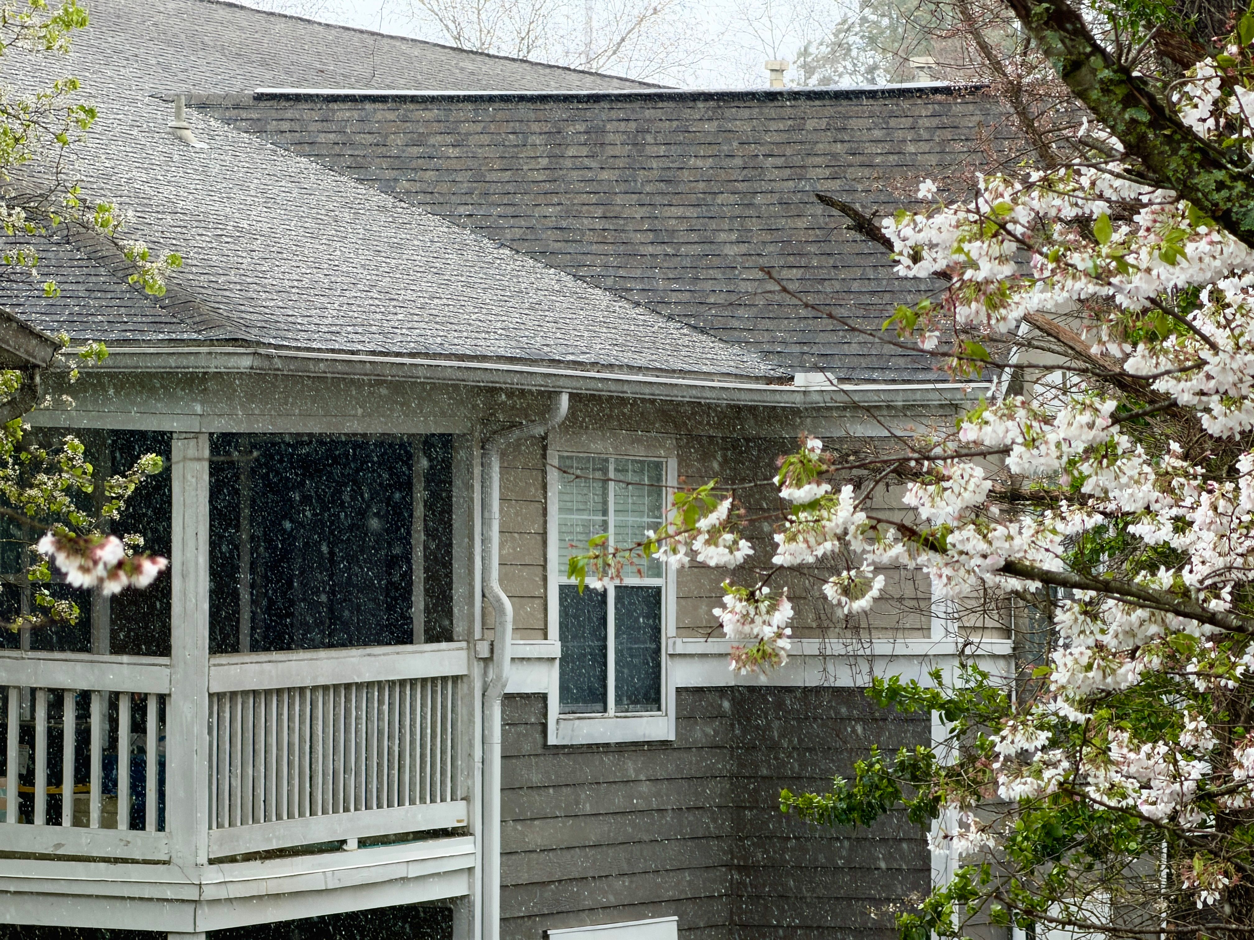 Mold and Moisture Prevention in Coastal Rentals: What Owners Should Watch